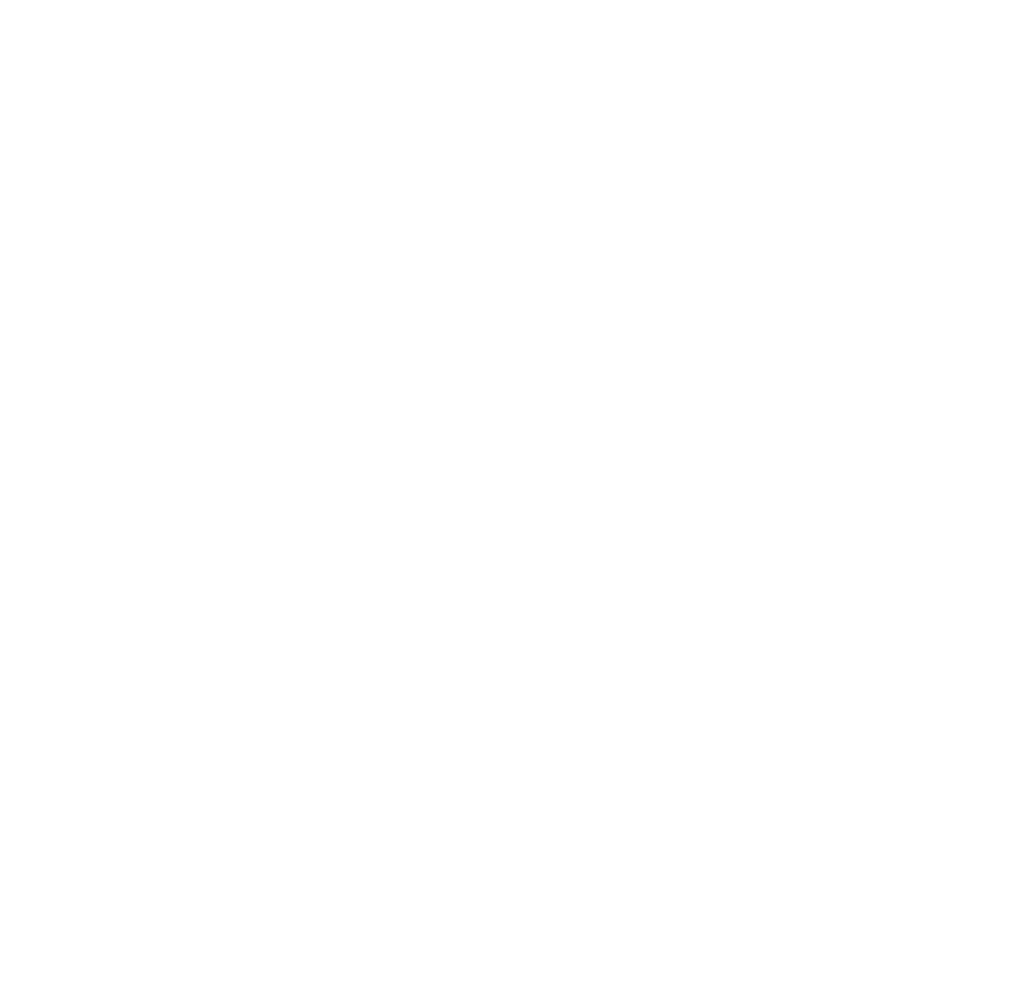 Digital Labin - coal
